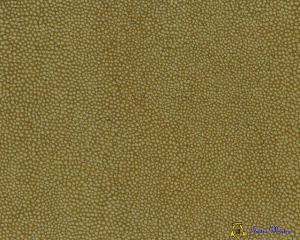 JV901_4543