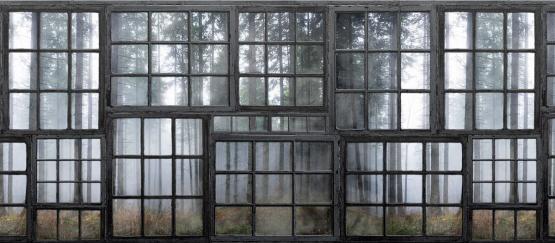 Przestrzenna fototapeta na ścianę-Widok z okna na las-Widok wzoru