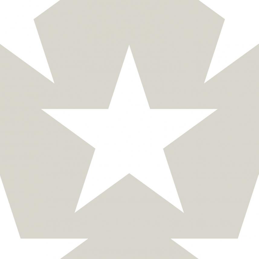 tapeta ścienna w białe gwiazdy na szarym tle - raport wzoru -  kolekcja  Kingsly72123