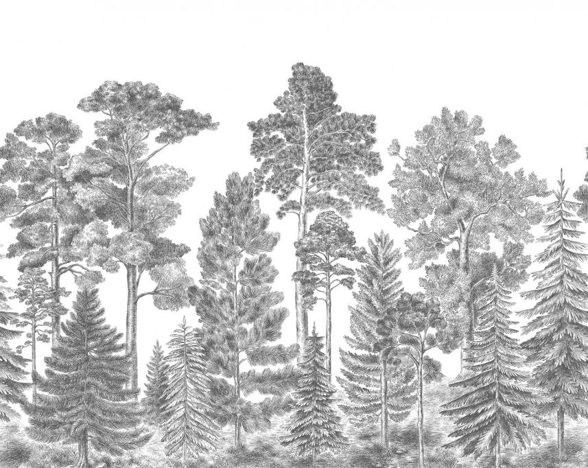 fototapeta z drzewami - wzór