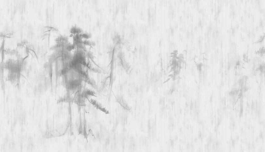 fototapeta na wymiar-sosnowy las we mgle-wzór