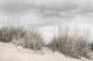 Fototapeta ścienna Pale Shore z widokiem na brzeg, piasek trawe - skandynawia