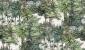 fototapeta ścienna w stylu retro - zielony las - drzewa - wzór