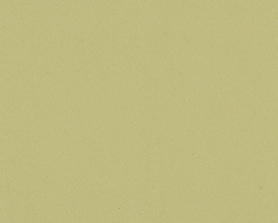 Tkanina-zasłonowa-zaciemniająca-blackout-fabric-300cm-zielona