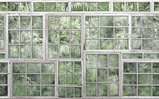 Fototapeta na ścianę- widok z okna na zielony las- wzór