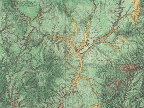 Fototapeta na ścianę w tonacji zielonej Mapa - widok wzoru