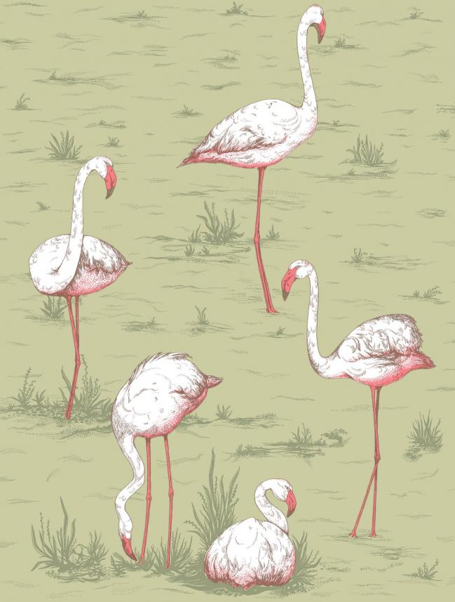 tapeta ścienna Cole and Son - kolekcja  Icons - wzór flamingos 112_11038- raport