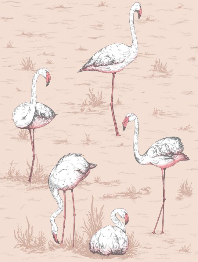 tapeta ścienna Cole and Son - kolekcja  Icons - wzór flamingos 112_11039- raport