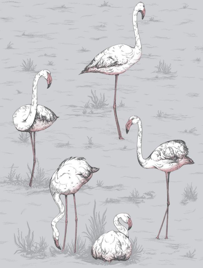 tapeta ścienna Cole and Son - kolekcja  Icons - wzór flamingos 112_11040- raport