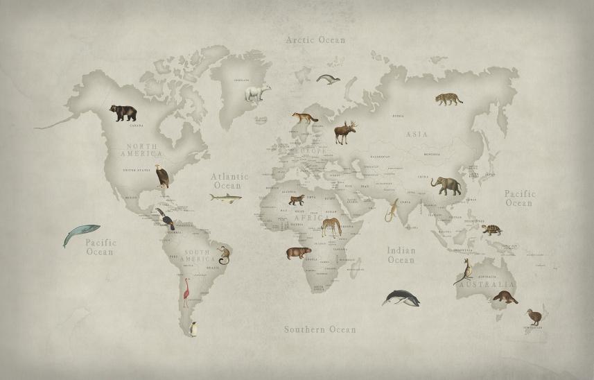 fototapeta do pokoju dziecięcego mapa świata - zwierzęta-wzór
