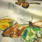 Tkanina-zasłonowa-meblowa-kolorowe-motyle-Charm-of-Tropic