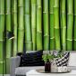 Fototapeta ścienna z motywem bambusa w tonacji zielonej- aranżacja