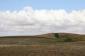 Fototapeta ścienna Cropland - widok na pole - skandynawia 