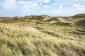 Fototapeta ścienna The Wind - widok na wzgórza - pagórki - wiatr - łąka - skandynawia 
