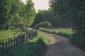 Fototapeta ścienna Wooden Fence - widok na ścieżkę - las - skandynawia