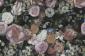 fototapeta ścienna w stylu retro - malowane kwiatki - zdjęcie aranżacyjne 