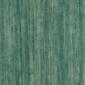tapeta ścienna  eucaliptus  eukaliptus  zielony
